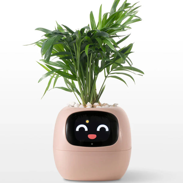 Slimme Plantenpot