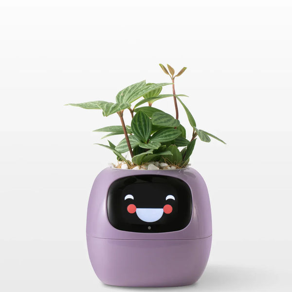 Slimme Plantenpot