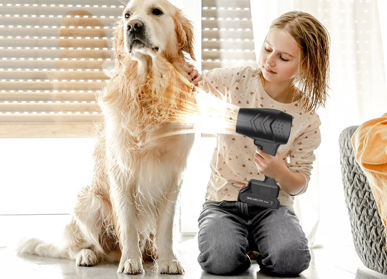 Draadloze Krachtige Blazer