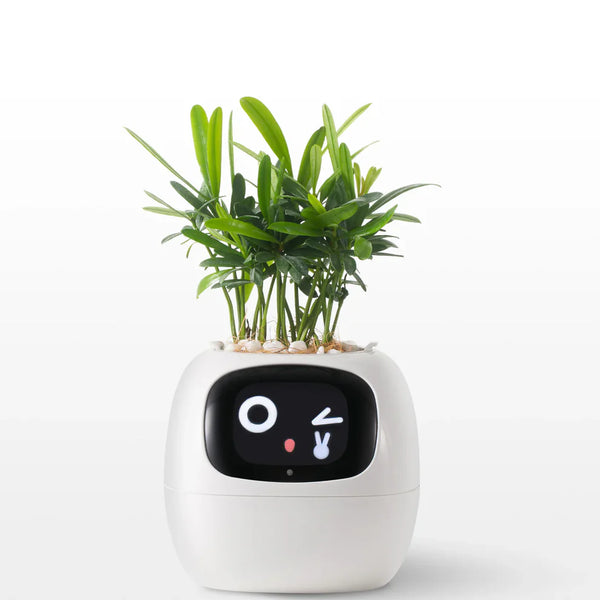 Slimme Plantenpot