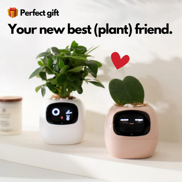 Slimme Plantenpot