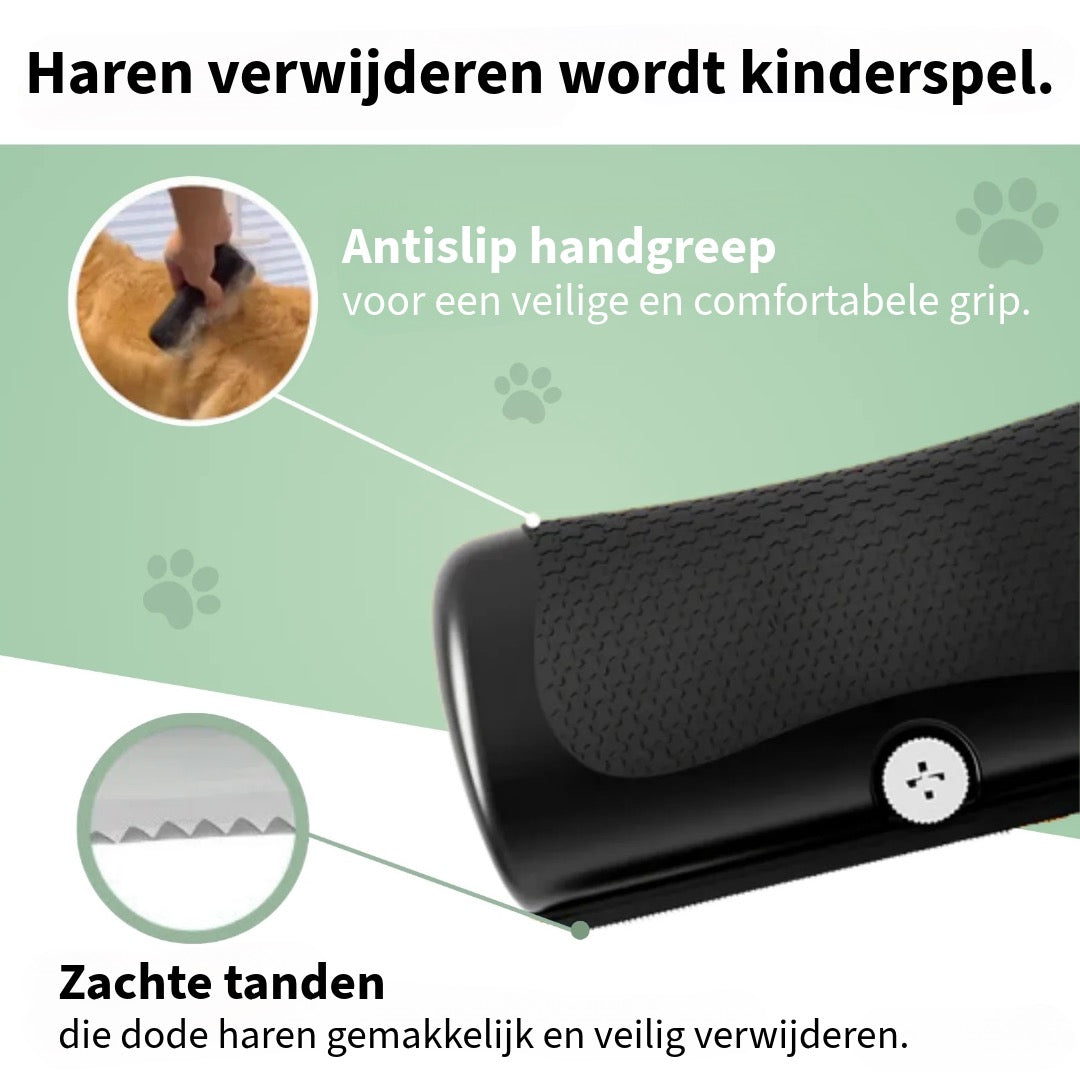 Efficiënte Hondenkam