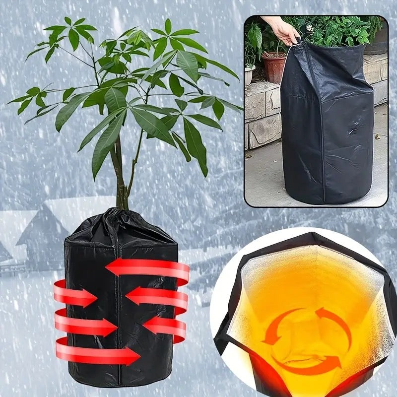 Winterbescherming voor Planten & Potten