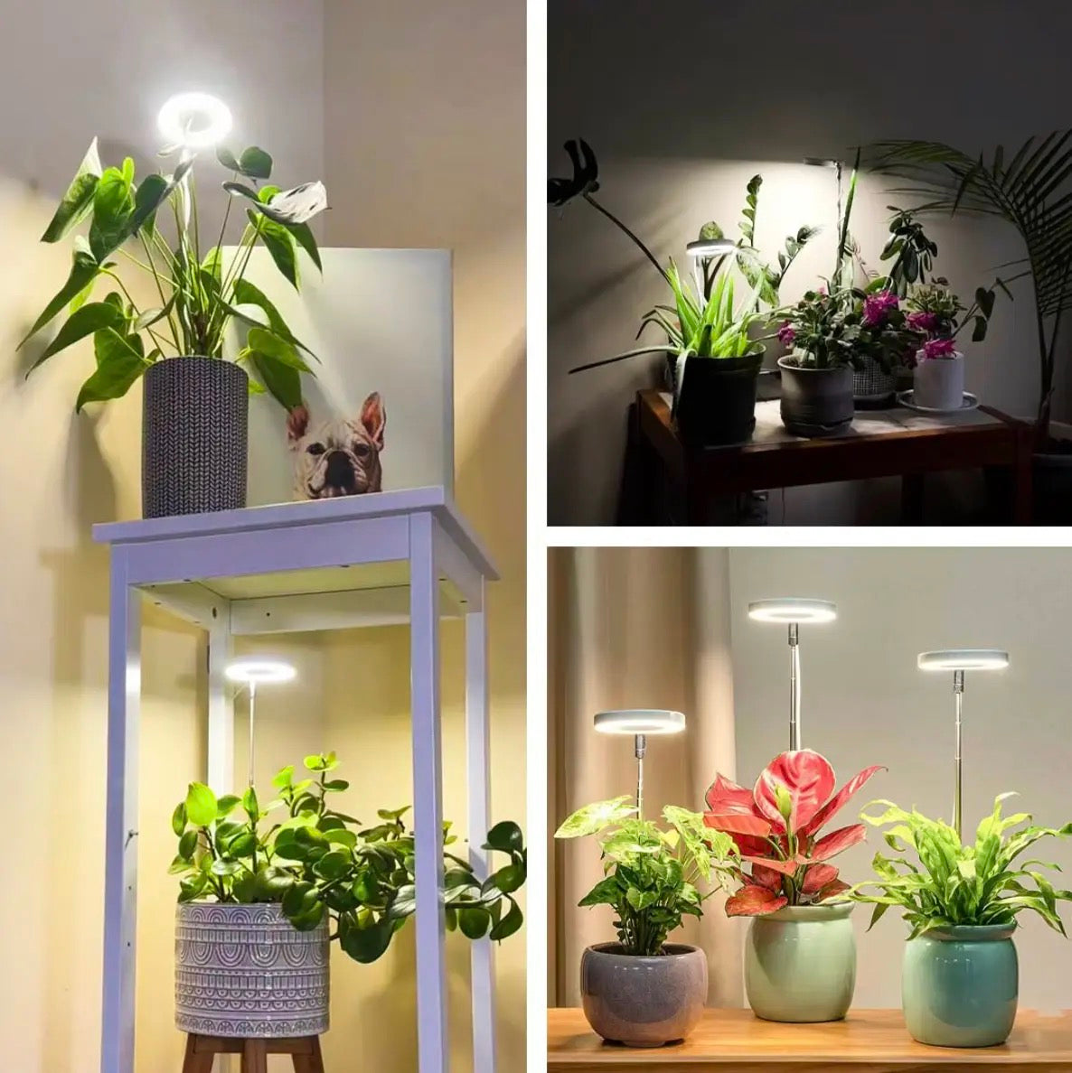 Full Spectrum Plantverlichting