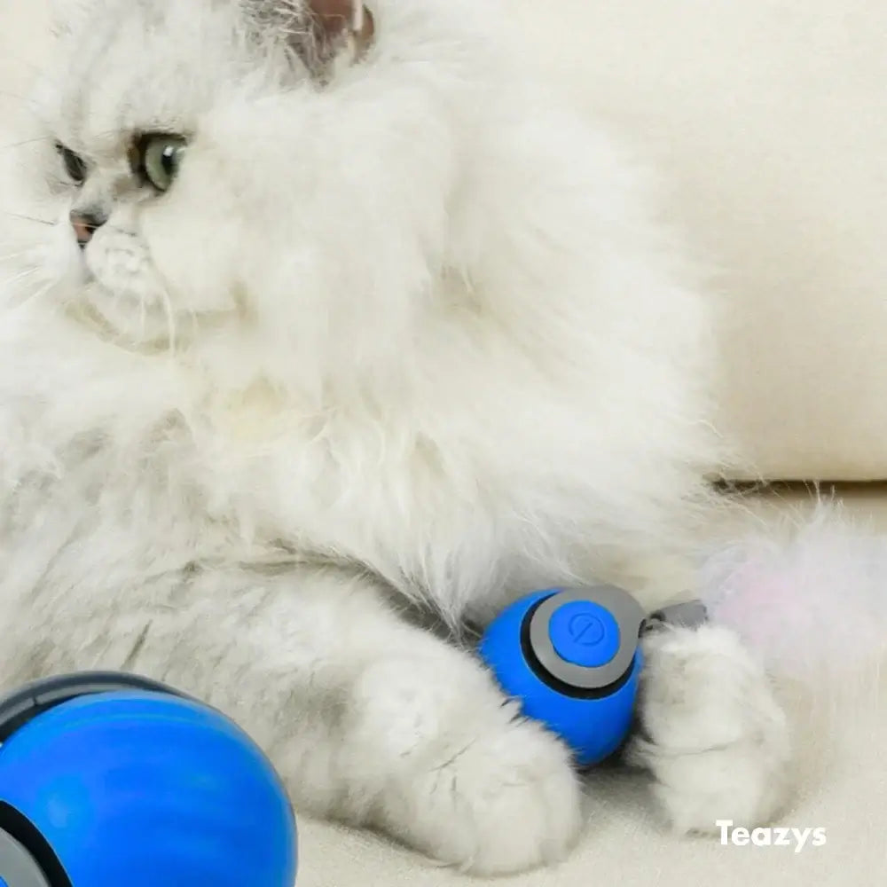 Interactief Kattenspeeltje