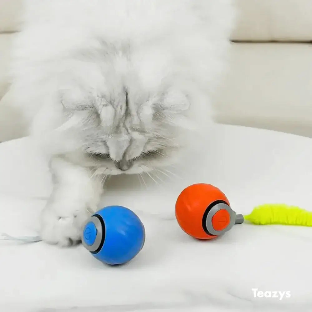Interactief Kattenspeeltje