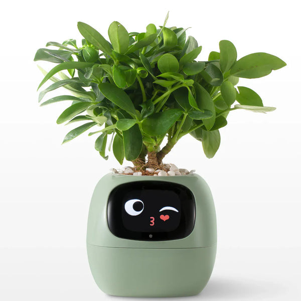 Slimme Plantenpot