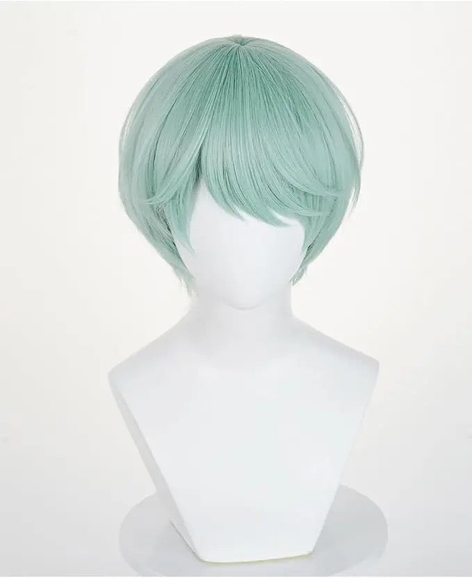 Cosplay Pruik