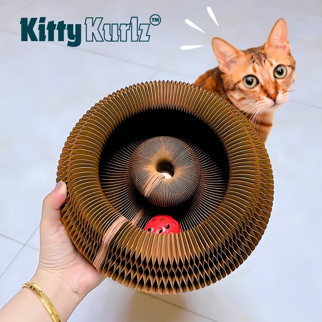 Kitty Kurlz™ Kattenspeeltje