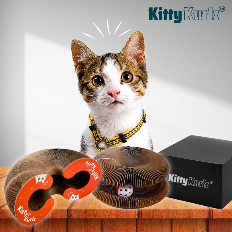 Kitty Kurlz™ Kattenspeeltje
