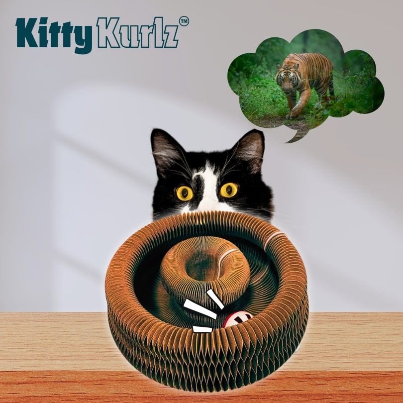 Kitty Kurlz™ Kattenspeeltje