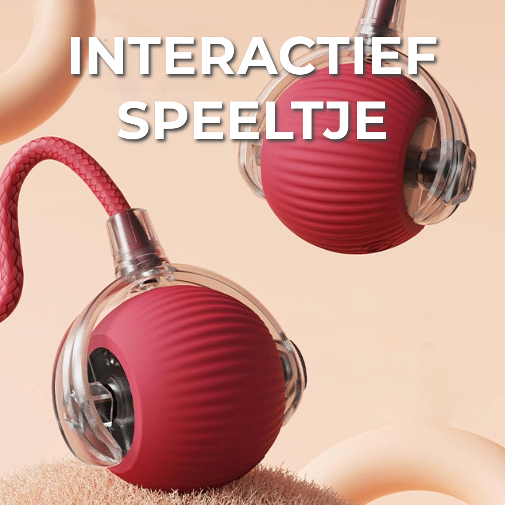 Interactief Speeltje