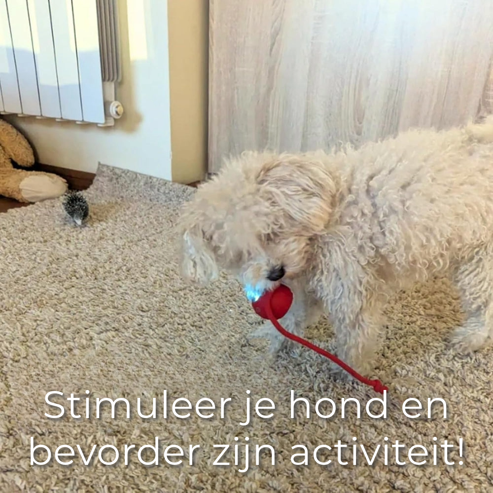 Interactief Speeltje