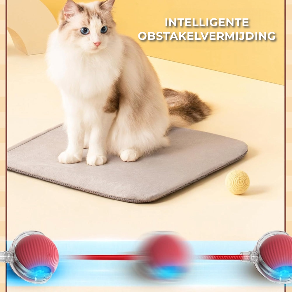 Interactief Speeltje