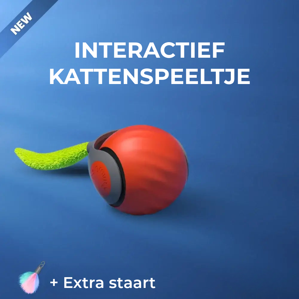 Interactief Kattenspeeltje