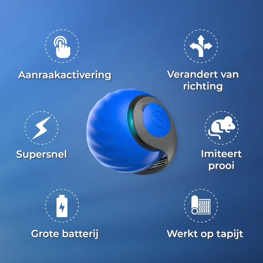 Interactief Kattenspeeltje
