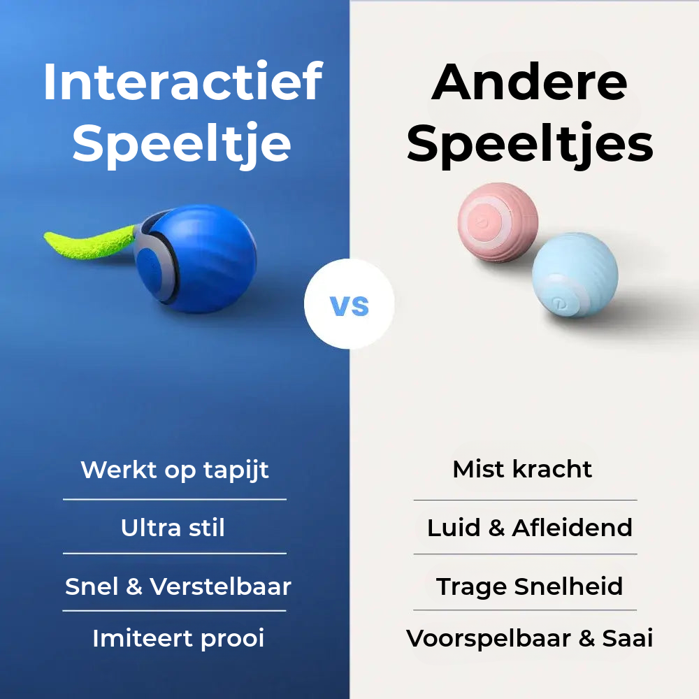 Interactief Kattenspeeltje