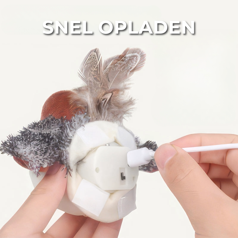 Interactief Kattenspeeltje