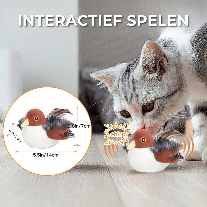 Interactief Kattenspeeltje