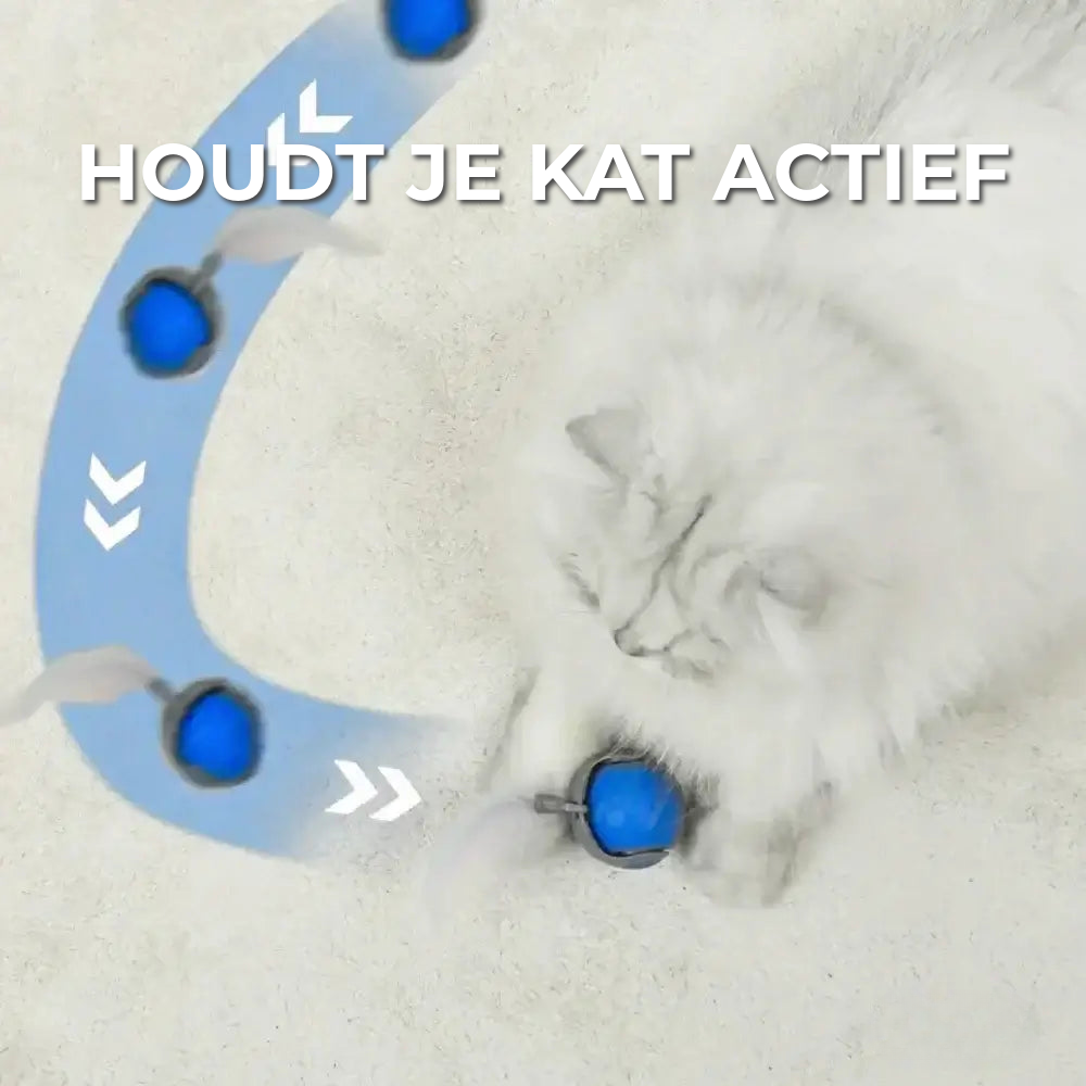 Interactief Kattenspeeltje