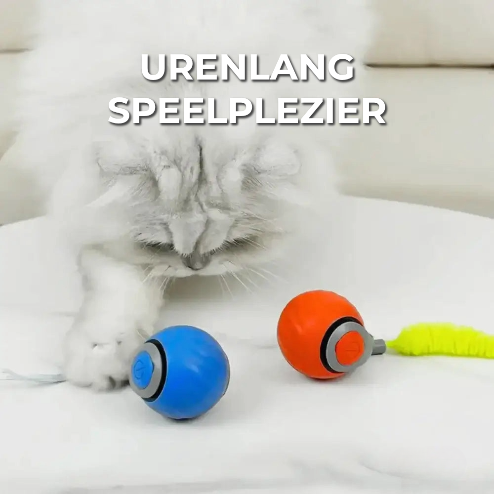 Interactief Kattenspeeltje