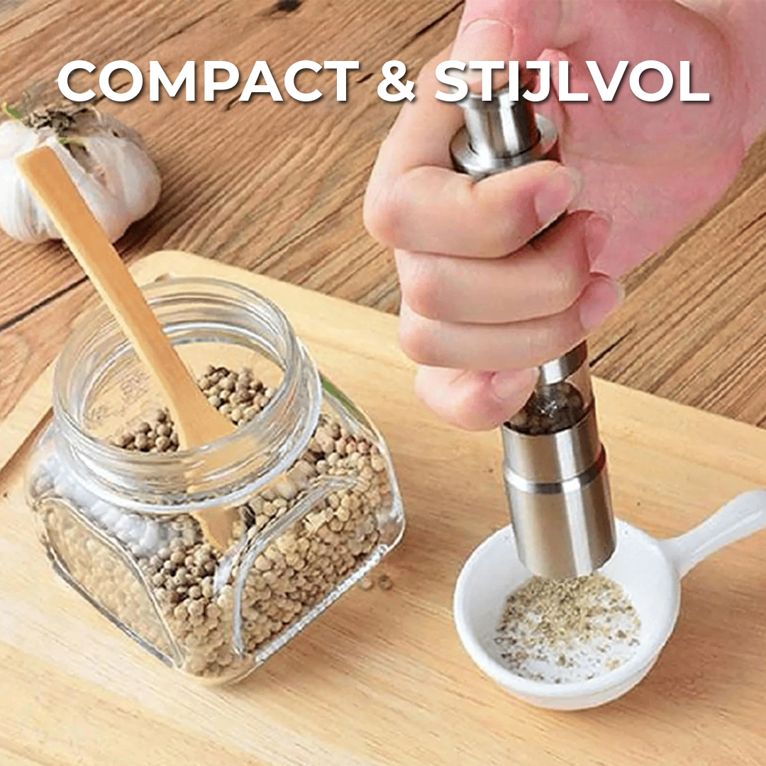 Roestvrij Stalen Peper & Zout Set