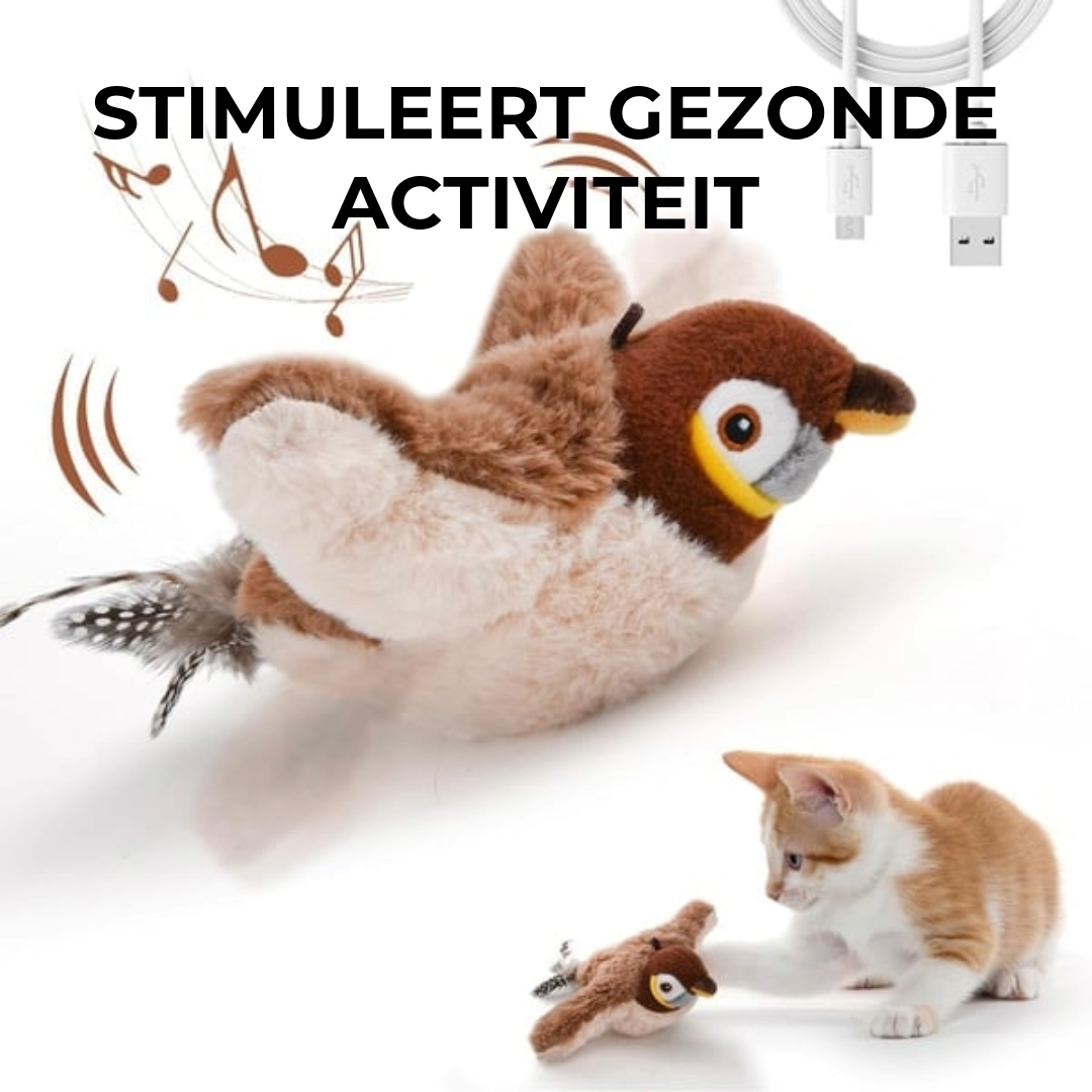 Interactief Vogelspeeltje