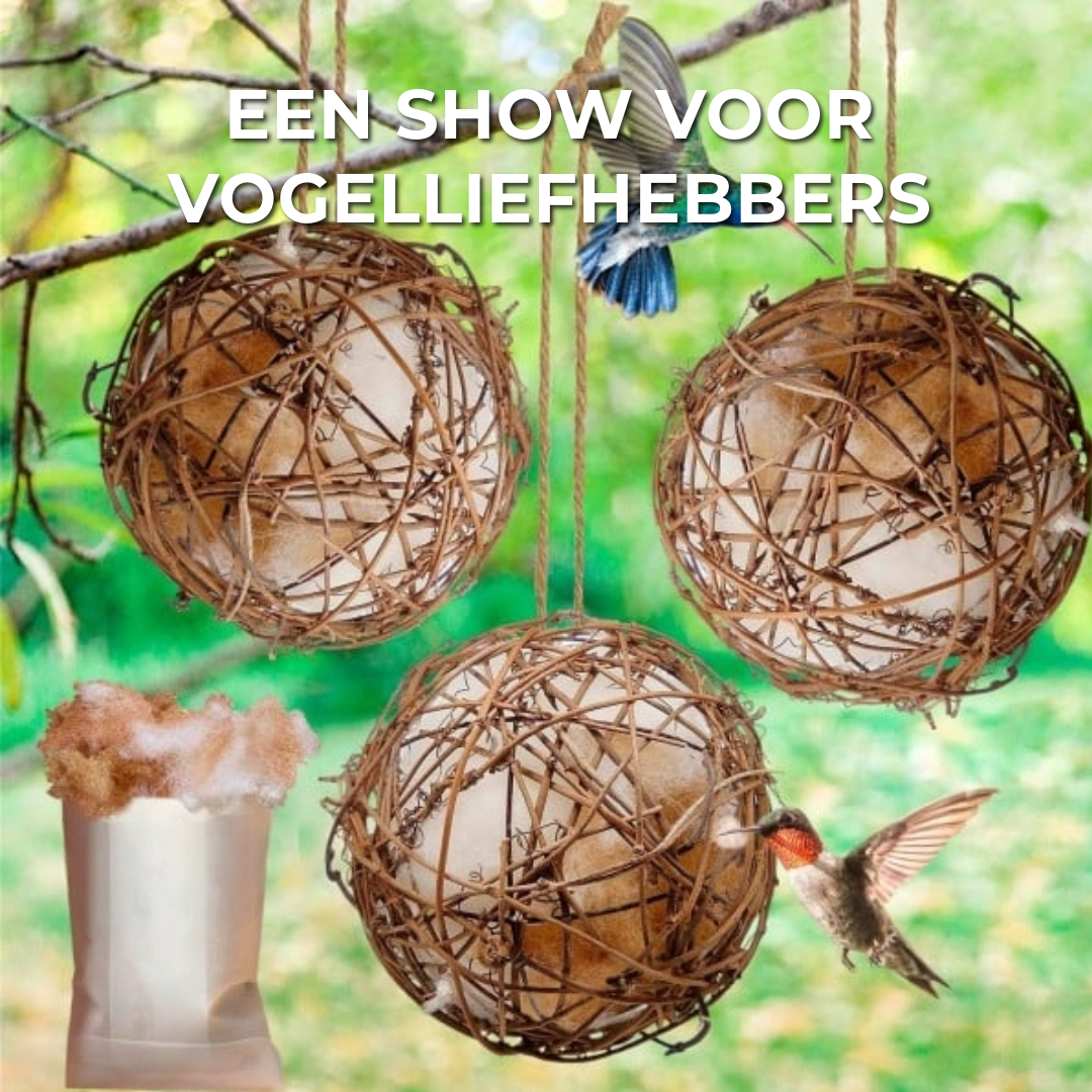 Handgemaakt Vogelnest
