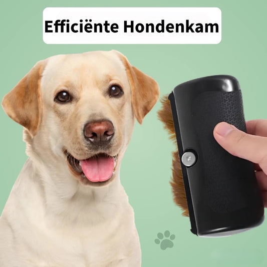 Efficiënte Hondenkam