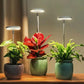 Full Spectrum Plantverlichting