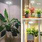 Full Spectrum Plantverlichting