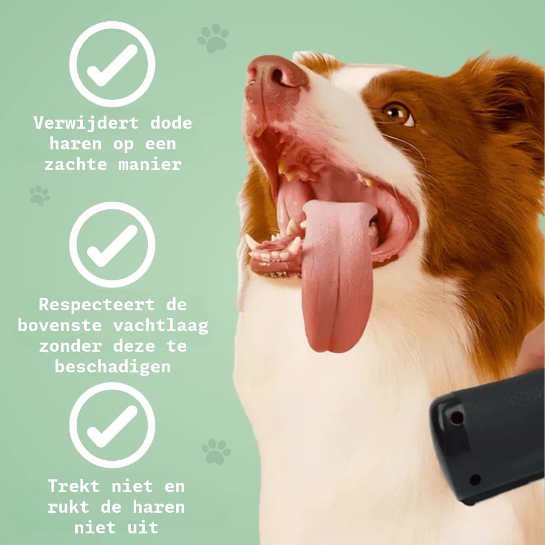 Efficiënte Hondenkam