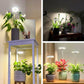 Full Spectrum Plantverlichting