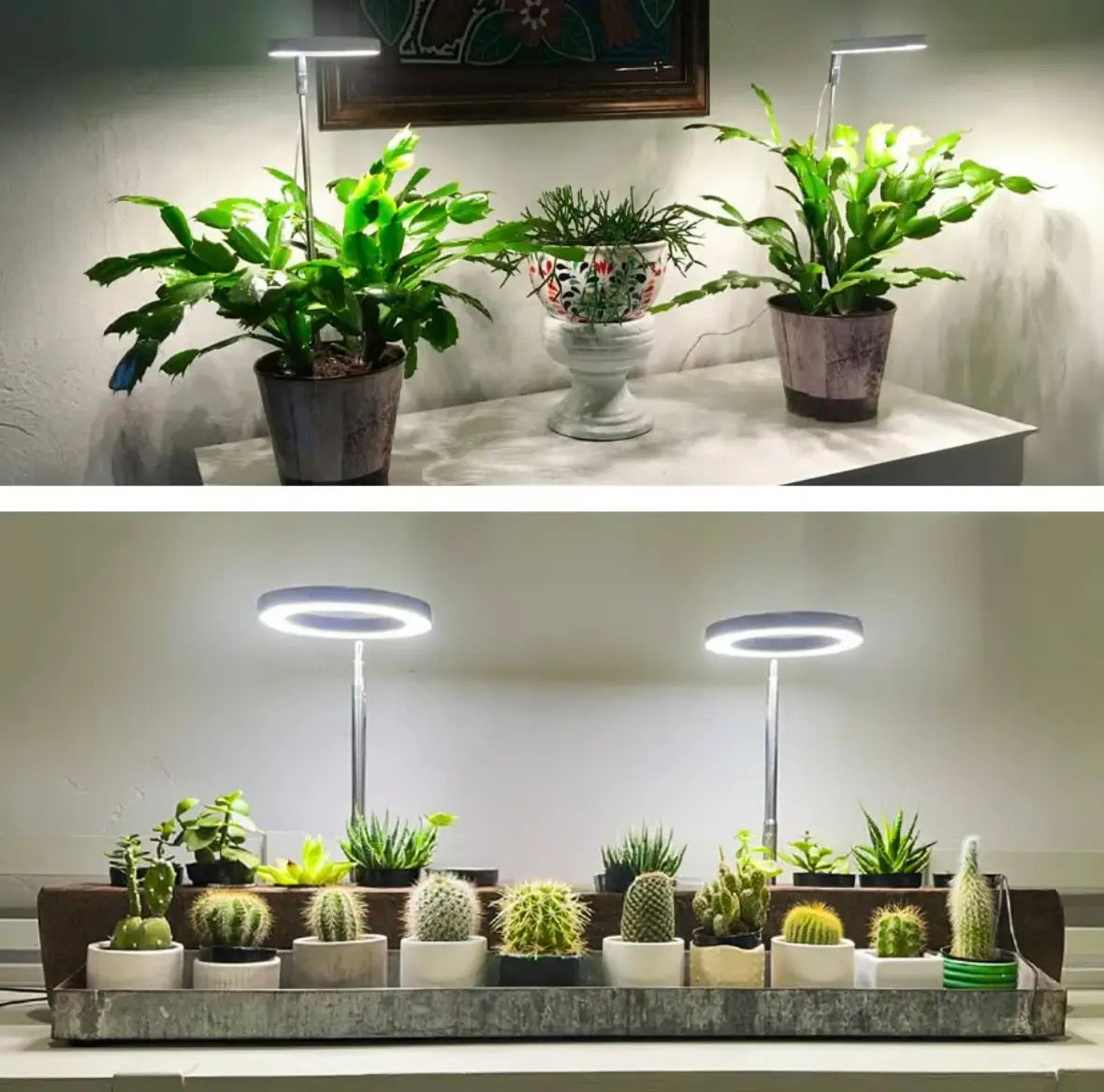 Full Spectrum Plantverlichting