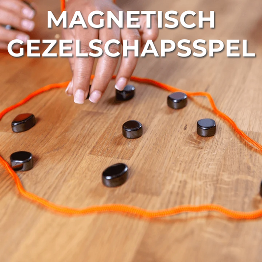 Magnetisch Gezelschapsspel