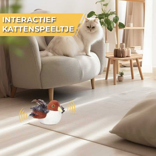 Interactief Kattenspeeltje