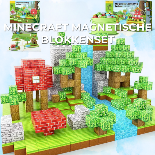 Minecraft Magnetische Blokkenset