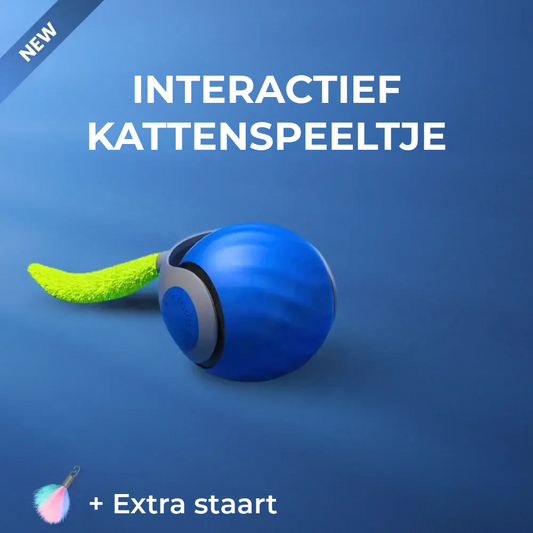 Interactief Kattenspeeltje
