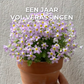 Plantbare Kalender 2025